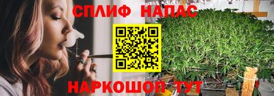 МДПВ Волжск