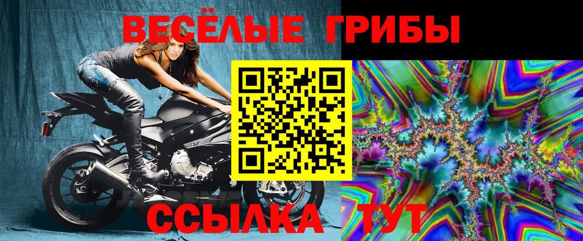 где найти наркотики  Вход с VPN  Заринск  Псилоцибиновые грибы Magic Shrooms  Псилоцибиновые грибы ЛСД 